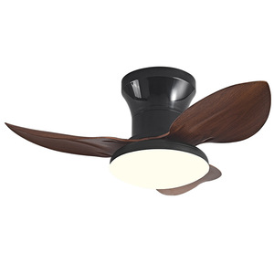 <b>Ceiling</b> Fan <b>Light</b> With Led 25 Inch Flush Mount For Hallway Bedroom Silent Inverter App <b>Control</b> - Product Image 2
