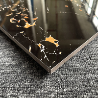Carrelage de Sol en Marbre Porcelaine le Moins Cher Couleurs Noires 60 cm par 60 cm Carreaux de Pierre Polis pour Salon
