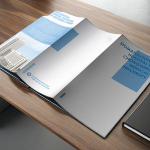 Brochures automobiles, prospectus d'accessoires automobiles et guides d'entretien automobile - Product Image 2