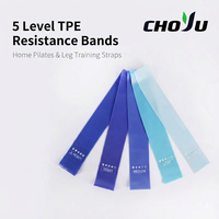 Ensemble de bandes de résistance TPE pour les hanches, 5 pièces, bandes pour les fessiers, haute élasticité, pour les squats, l'entraînement des fessiers et des jambes, boucle élastique, yoga, fitness
