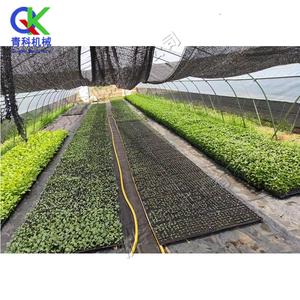 Seminatrice Automatica per Vassoi a Cavità, Macchina ad Alta Efficienza per la Semina di Meloni, Frutta, Verdura e Fiori - Product Image 2