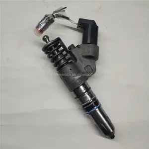 Cummins M11 L10 ISM QSM Einspritz ventil für Motor teile 4902921