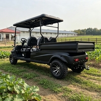 Carrito de Golf Eléctrico Personalizado de Buena Calidad, Homologado para Circular por la Calle, con 4 Asientos y Caja de Carga con Plataforma Abatible