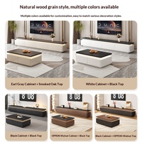 Nouvelle combinaison de meuble TV et table basse de luxe léger pour salon, haut de gamme, sur pied, style moderne et simple, multifonctionnelle