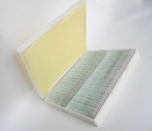 高品質100枚入り動物組織標本スライド　大学用組織学顕微鏡プレパラート - Product Image 5