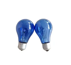 incandescent A19 60W E27 Classic natural blue bulb
