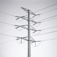 Tour monopôle en acier Q355B galvanisé à chaud 110 kV double circuit OEM pour ligne de transmission d'énergie