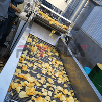 Multifunctionele complete productielijn voor diepvries snacks, inclusief continue transportband en friteuse