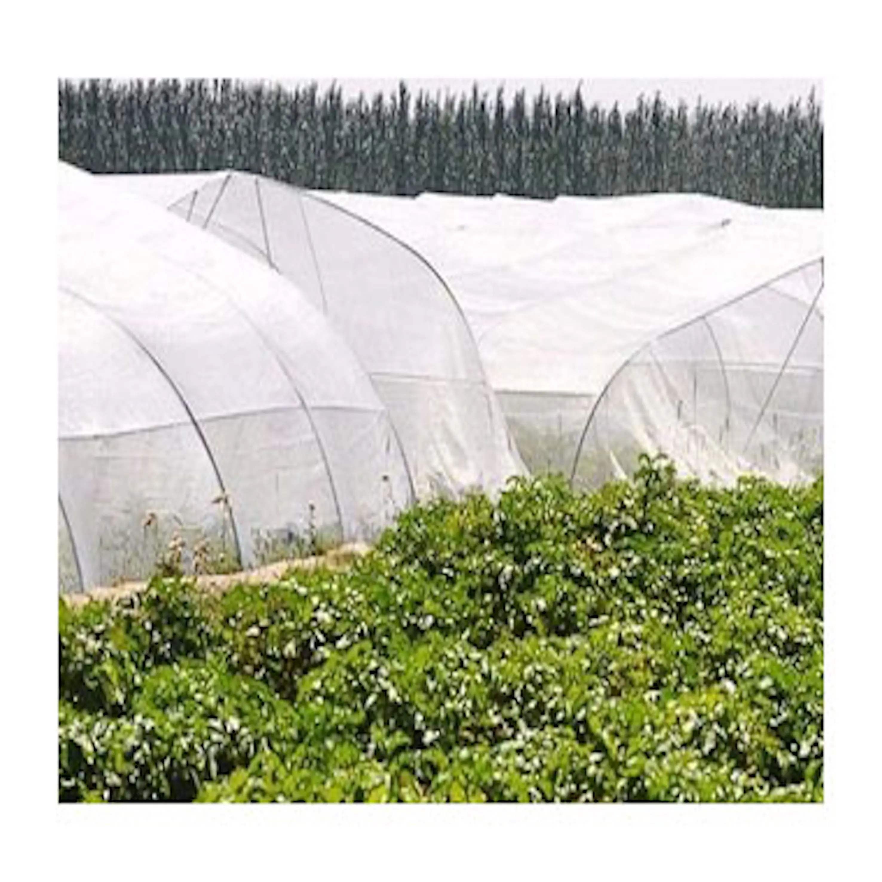 Multiwarna Grosir Jaring Anti Serangga Jaring Pertanian Perlindungan Buah/Jaring Anti Serangga Pertanian untuk Tanaman Sayur