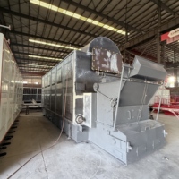 Ketel Uap Horizontal DZL dengan Rantai Grate, Berbahan Bakar Biomassa Batubara, Peralatan Pemanas Industri Berbahan Bakar Kayu Sekam Padi