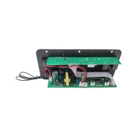 Profesyonel D10 USB ses amplifikatörü kurulu HIFI 12V/24V/220V çok fonksiyonlu Mic ev TF d bluetooth alıcıları amplifikatörler