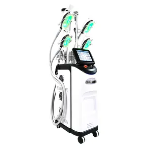 Cryolipolysis 360 Machine de cryolipolyse multifonctionnelle pour un usage domestique Machine de congélation de graisse de cryothérapie avec 5 mains Cryo