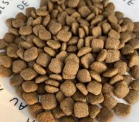 Machine automatique de fabrication d'aliments pour chiens, ligne de production d'aliments pour animaux de compagnie, machine de transformation d'aliments secs et humides pour chiens et chats