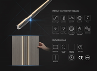 Lumière linéaire LED pour panneaux muraux décoratifs Diffuseur noir Profil en aluminium DC 12V Éclairage domestique YB3004-23-1