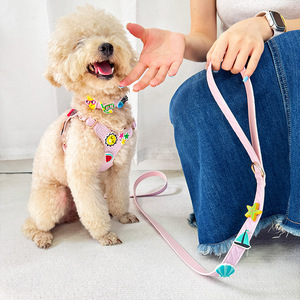Fabbrica fatta di alta qualità materiale in pelle su misura alla moda per animali domestici gatto cane imbracatura collare guinzaglio con ciondoli - Product Image 6