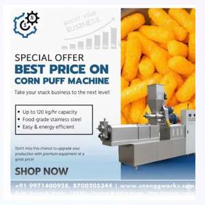 Venta Directa de Fabricante Profesional: Máquina Automática de Acero Inoxidable para Hacer Hojuelas de Maíz y Vegetales, 120 kg/h, SN Engineering Works - Product Image 2