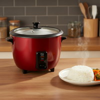 Cuisinière à riz électrique automatique portable de haute qualité, revêtement antiadhésif en plastique, 220V 240V, chauffage rapide pour un usage domestique