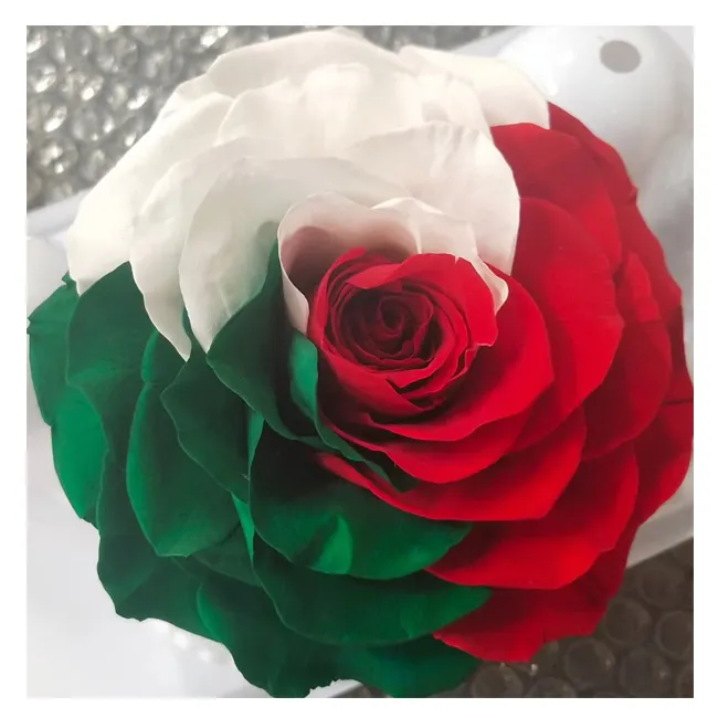 Rosas preservadas de clase a, de grado a 2023, con la bandera de los uae