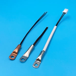 Temperatursensor mit M4-Loch (10K 3950) - Spezielle Sonde für Industrielle Temperaturkontrollgeräte - Product Image 2