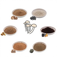 Biologisch Reishi (Ganoderma Lucidum) Extract Poeder Beta Glucan Polysacchariden