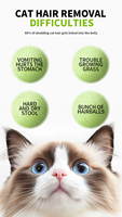 Poudre d'herbe de blé lyophilisée de qualité supérieure, riche en vitamines et en fibres, complément détoxifiant pour la santé des chats, complément alimentaire pour chats