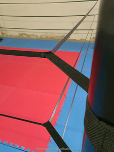 FightBro FPR Mini <span class=keywords><strong>ring</strong></span> <span class=keywords><strong>de</strong></span> <span class=keywords><strong>boxe</strong></span> portable Muaythai - Product Image 5