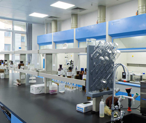 Fare <span class=keywords><strong>Pet</strong></span> gıda bağımlılık ücretsiz toptan OEM ODM konserve gıda yavru kedi özelleştirme olabilir - Product Image 5