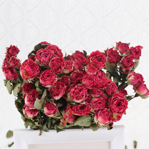Usine de couleur riche grande vente vrais Bouquets de fleurs de Rose sèche naturelle avec <span class=keywords><strong>tige</strong></span> pour la décoration intérieure de Restaurant de bureau à domicile - Product Image 4