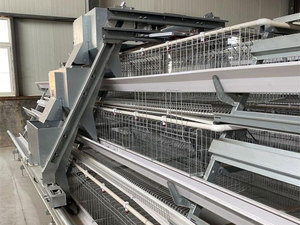 กรงเลี้ยงไก่อัตโนมัติเต็มรูปแบบสำหรับไก่ 20,000 ตัว ขนาดกรง 500 ตัว สำหรับไก่พันธุ์อินดูแคน - Product Image 4