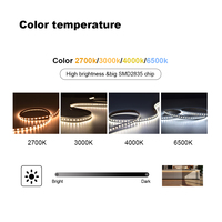 Bande LED SMD 2835 DC 24V personnalisée en gros, 140 LED/m, CRI 90, puce Lumileds, PCB 3/5/8/10mm, alimentation multiple, IP20, USB