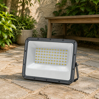 Projecteur LED extérieur étanche IP66 50W SMD en aluminium léger haute luminosité avec télécommande pour entrepôt et jardin (blanc)