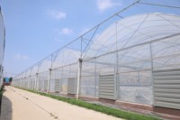 Grandes serres agricoles solaires en acier en forme de C avec couverture en acier pour la culture de légumes (modèle simple)