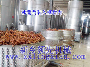 Machine de production de vin, vigne de raisin, pressoir à <span class=keywords><strong>jus</strong></span> de fruits, fabriqué à la main - Product Image 3