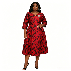 Nouvelle Collection 2026 : Robes de Chorale Élégantes et Modestes pour Femmes, Grandes Tailles, Style USA, pour l'Église - Product Image 1