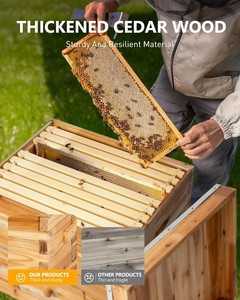 10-khung langstroth tổ ong với nền tảng cho beeyard mật ong hệ thống sản xuất - Product Image 6