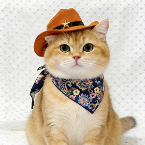 Sombrero para gatos, sombrero de vaquero occidental, diadema linda y divertida para perros, sombrero de protección solar para perros pequeños y medianos. - Product Image 3