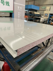 Panneaux sandwich <span class=keywords><strong>en</strong></span> polystyrène ignifuge et isolant pour la construction de murs d'usines de purification - Product Image 1