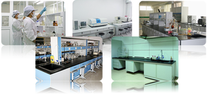 ผงไข่ขาวเมอริเนก - Product Image 4