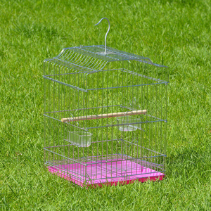Açık evcil kanarya <span class=keywords><strong>parakeet</strong></span> güvercin bıldırcın papağan küçük kuş kafesi metal kuş papağan kafesleri calopsita küçük - Product Image 3