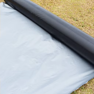Film de paillage agricole noir <span class=keywords><strong>argent</strong></span>é <span class=keywords><strong>en</strong></span> plastique, couverture du sol, hydratant et anti-insectes, LDPE avec film de paillage UV - Product Image 1