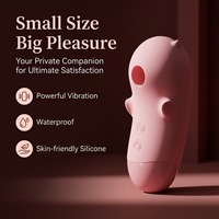 Vente directe usine – Jouet de massage vibrant de style occidental, fabriqué à Shenzhen, pour femme, avec aspiration améliorée, pour le plaisir et les jeux coquins