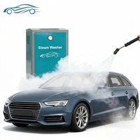 Nettoyeur Vapeur Certifié CE pour Voitures SW-9A Professionnel en Acier Inoxydable Électrique 220V/380V pour l'Entretien Automobile 8 Bar 6KW