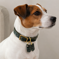 Collier pour animaux de compagnie en cuir avec médaillon en filigrane doré, clous décoratifs, bande verte gaufrée crocodile pour chiens et chats