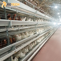 Solution d'élevage avicole en Indonésie : Cage à batterie pour poules pondeuses de type H avec système de collecte automatique des œufs