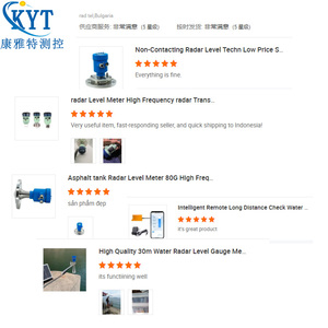 专业型法兰式音叉密度计——石化行业专用 - Product Image 5