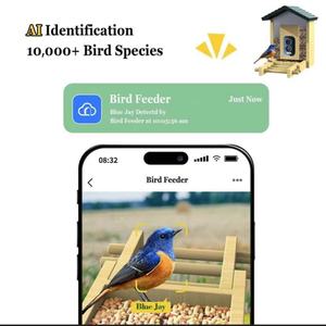Ahşap yüksek piksel AI tanıma ahşap bambu kuş besleyici doğrudan satış akıllı kapalı açık bahçe kaynağı - Product Image 5
