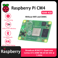 Module informatique Raspberry Pi CM4 4 Go de RAM CM4104000 CM4104008 CM4104016 CM4104032 CM4004000 CM4004008 CM4004016 CM4004032 Variantes