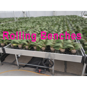 Banco Idroponico Commerciale a Rotelle di Grandi Dimensioni con Doppio Strato di Film PE per Agricoltura e Coltivazione di Piante - Product Image 6