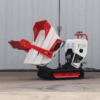 Mini-dumper sur chenilles 2T TOROS, transporteur sur chenilles hydraulique amphibie tout-terrain
