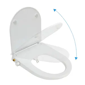 Oem/ODM D hình dạng điện nhà vệ sinh chỗ ngồi nắp che với ánh sáng dẫn và ghế Vòng Chức năng sưởi ấm